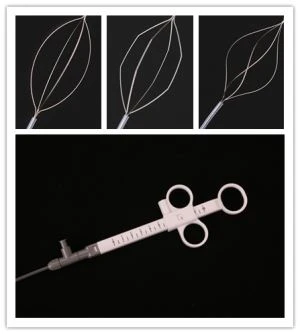 stenutvinningskorg för Gastroscopy